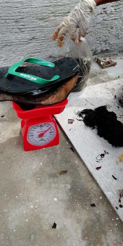 stranding_ID's tweet photo. 19112018 a code 4 sperm whale stranded on Kapota Island Wakatobi SE Sulawesi. A 5.9 kg debris found inside d whale. The dominant debris are raffia and plastic cups. News: Mr Hardin (DKP Wakatobi). Photo: Mr Alfi (AKKP-KKP). Tx 2 Kartika Sumolang (WWF)

FB: https://t.co/zPukshy6at https://t.co/uk7wTS71AH