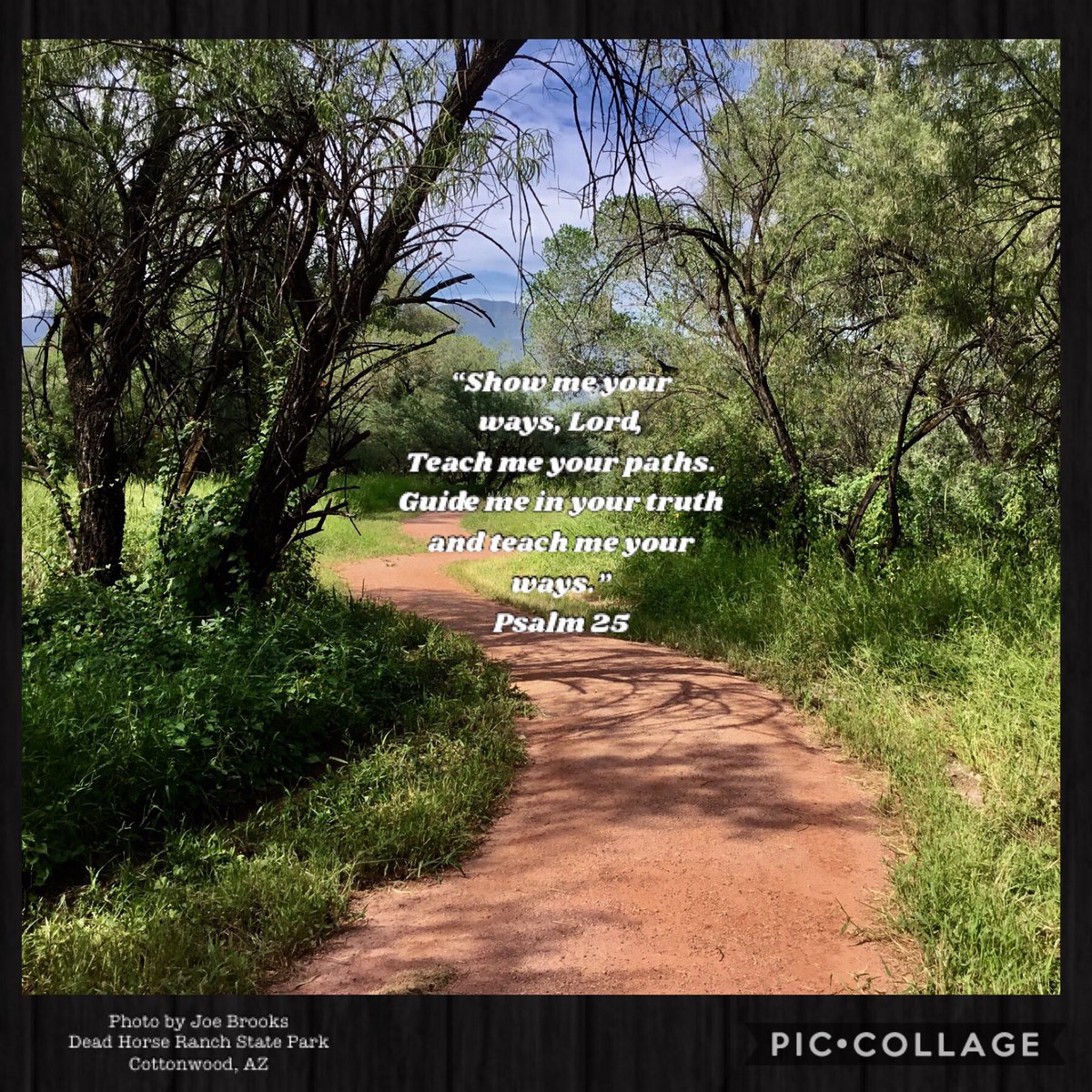 Wishing you a blessed week #Psalms #biblequotes #Inspiration #faith #MondayMotivation #naturephotography #spirituality