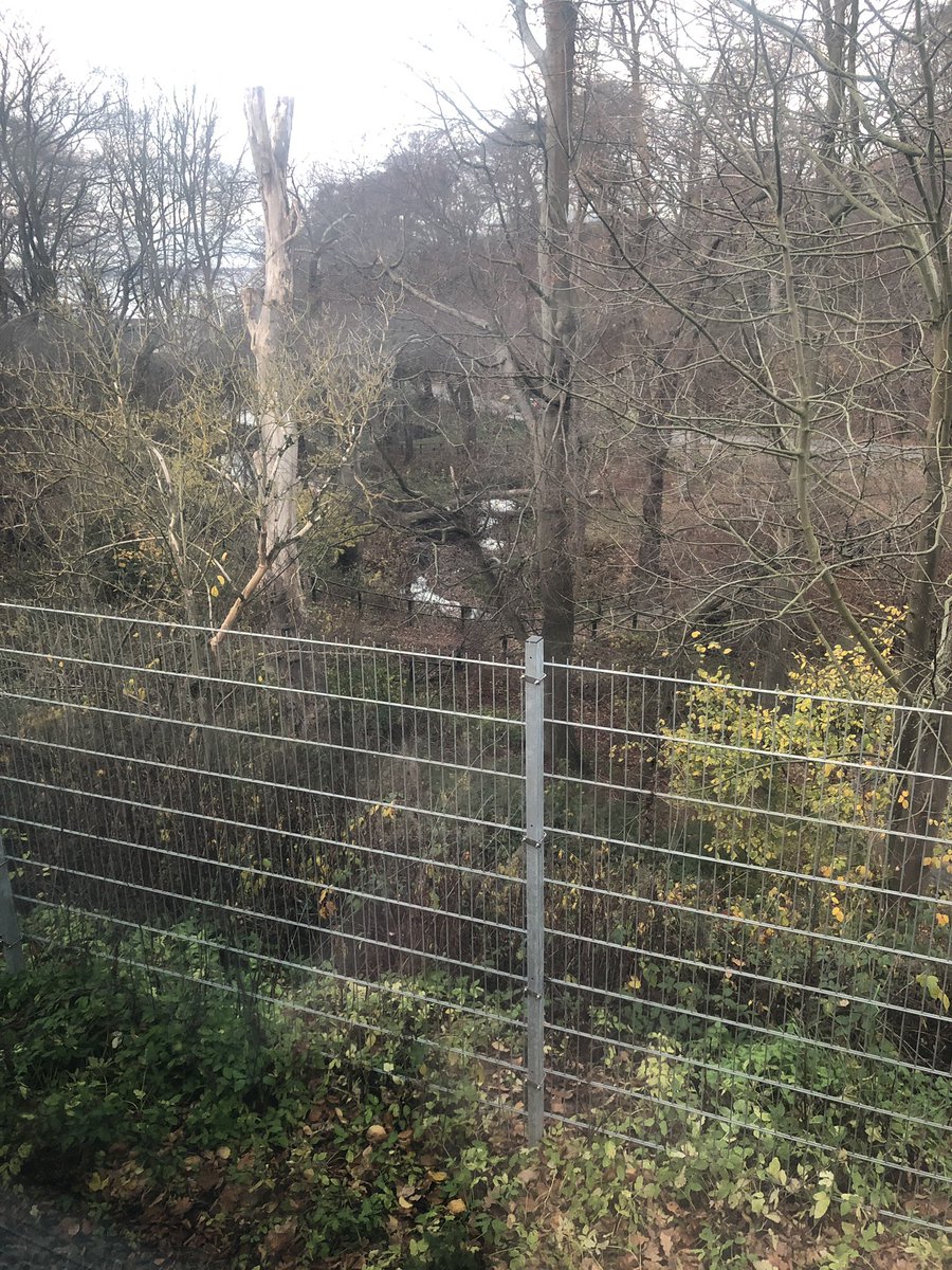 lOOkouTT42's tweet photo. Fast i Pålsjö skog på tåget @SJ_AB mot Göteborg. Ingen ström pga nedriven kontaktledning. Uselt IGEN @Trafikverket När ska ni kunna ta ansvar för en fungerande järnväg? https://t.co/GUJm1Ev5Ty