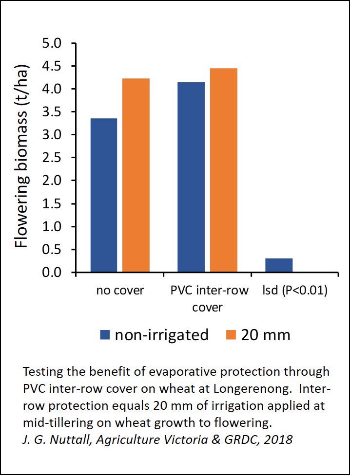 nuttall_grains's tweet photo. Benefit of mid-row evaporative protection on wheat - testing PVC and spray-on polymer. @VicGovAg @VicGovGrains @theGRDC https://t.co/924KYHrdCe