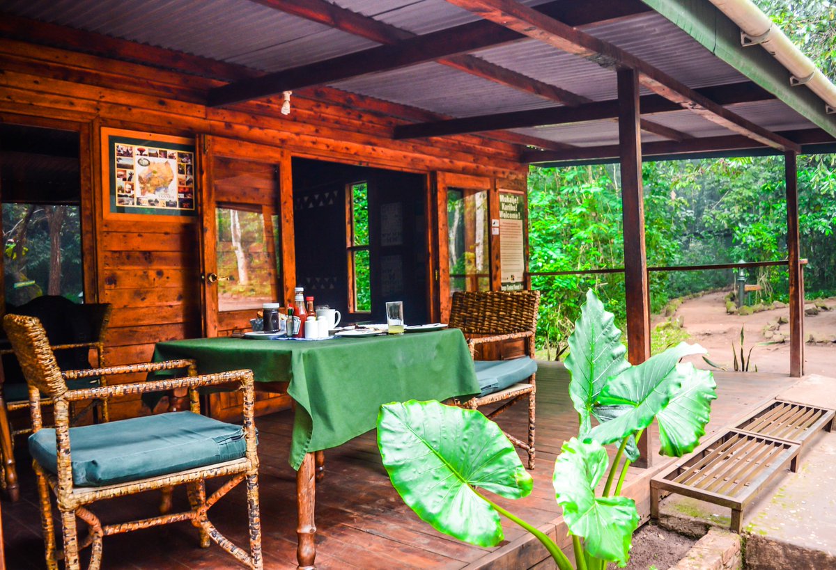 Uganda_Lodges's tweet photo. Breakfast at #BudongoEcoLodge
๐ท:Moses
#VisitUganda #UgandaLodges #BudongoForest #PrimatesWorld #ChimpTrekking #ChimpHabituation #NatureWalk #Birding #JaneGoodalls https://t.co/AqjB8QwsYA