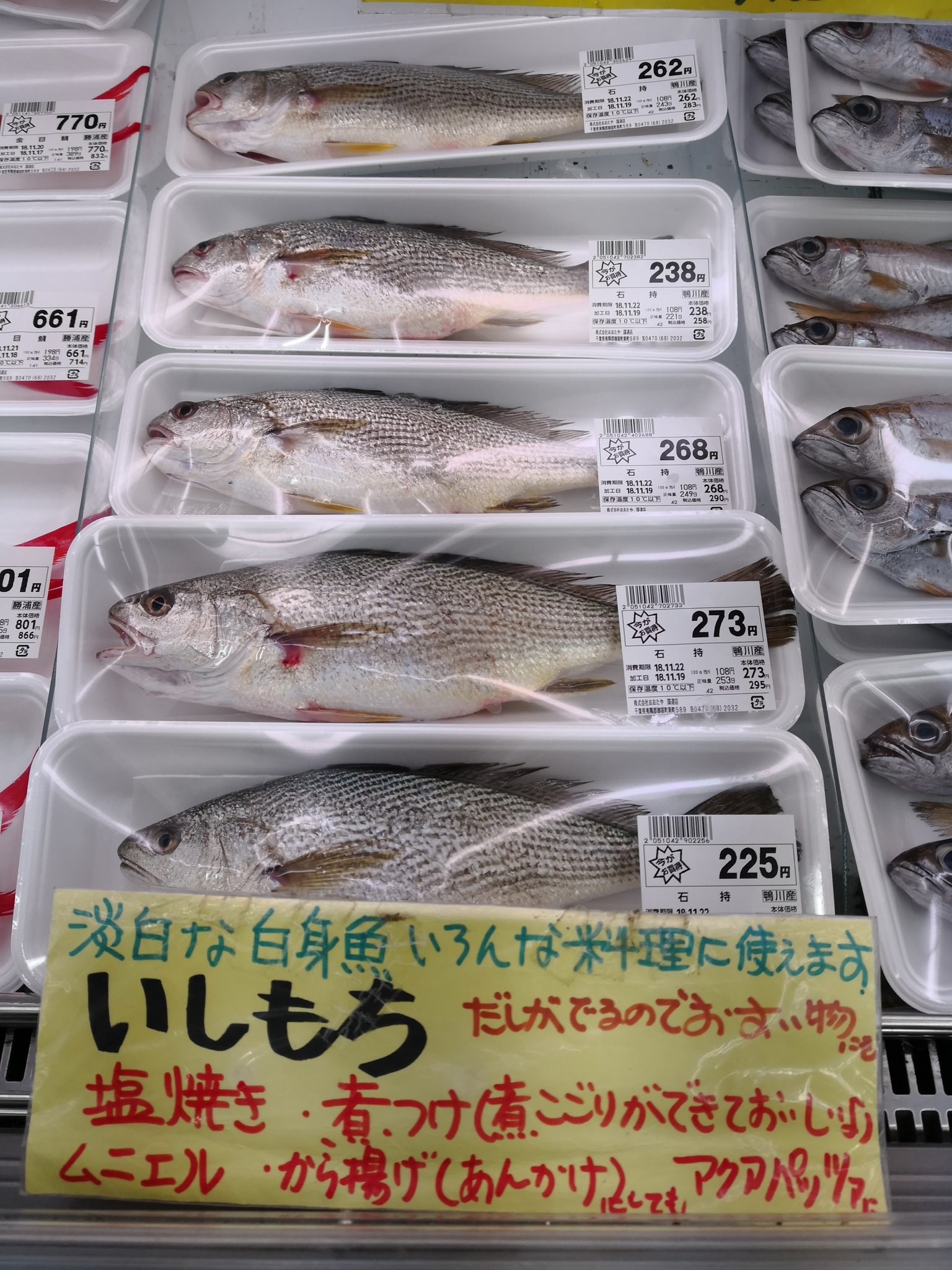 スーパーおおたや 鴨川港より イシモチ 小アジ 真サバが入荷しました 明日は えびす講です 尾頭付きのお魚 いろいろ入荷しました 金目鯛 イシモチ イサキ ムツ サバ サンマ アジなど T Co 5f3npzolen Twitter