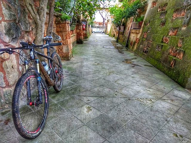 #salento #LOVES_UNITED_PUGLIA #r2mountainbike #offroad #mountainbike #dm_photolife #ig_puglia #ig_lecce #wood #loves_lecce #loves_puglia #forsbikers #ciclocross #nature #f4f #mountainbike #panoramimeridionali #natgeoit #mtbtraining #orbea #instabike #ins… ift.tt/2DtOKY8