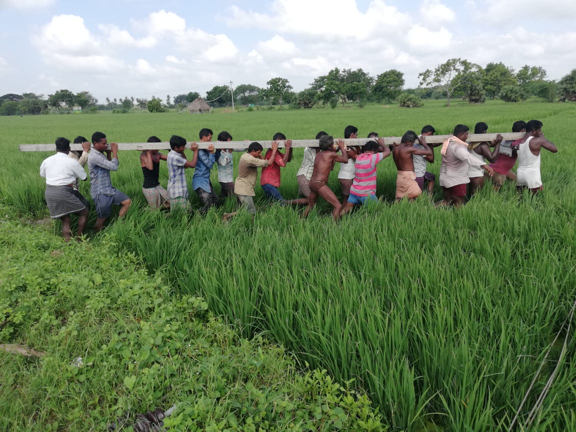 Ahmedshabbir20's tweet photo. Restoration of electricity in #DeltaRegions of Tamil Nadu...TNEB employees on ground & work underway in full swing #CycloneGaja #GajaCyclone #SaveDelta #HelpDelta #Bouncebackdelta https://t.co/rdhWlBfFdp