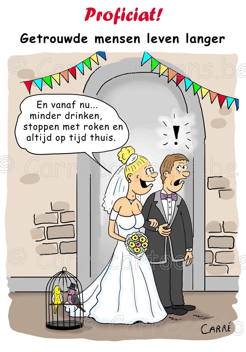 Carré on Twitter: "De eerste kaart van ons geschenkpakket. Zie  https://t.co/zBhEVc1cFP #trouw #huwelijk #wenskaarten #cartoons #proficiat  #vogeltjegijzijtgevangen https://t.co/QE9JpPNctA" / Twitter