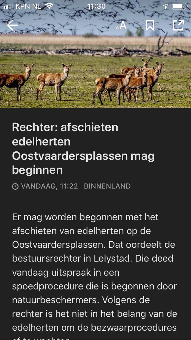 Verwarring! Van <a href="/NOS/">NOS</a> mag je beginnen, maar <a href="/NUnl/">NU.nl</a> wil graag dat je nog ff wacht! #Oostvaardersplassen #chaos