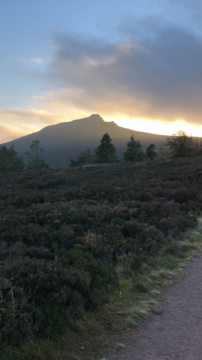 StuartAmoryPT's tweet image. Great weekend in the North East of Scotland with the girlfriend and even made time to go hiking.

Hope you guys had a great weekend too!

#FitTeam18 @PolarUK_IRE #BloodSweatAndData #polarVantageV
