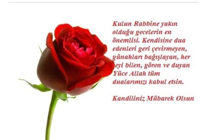 hamzaakgul01's tweet photo. https://t.co/PNF3zs3K47