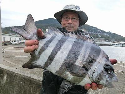 釣り大好き 最新釣果情報 和歌山県中部 上野渡船 磯釣りの釣果 早朝 北風強く沖磯に行けず ヒジキ磯で石鯛釣れた エサはウニ T Co Rjfymdzuo1 T Co 9xek3qexrs Twitter 釣り大好き 最新釣果情報 和歌山県中部 上野渡船 磯釣りの釣果 早朝 北風強く沖磯に行けず ヒジキ磯で石鯛釣れた エサはウニ T Co Rjfymdzuo1 T Co 9xek3qexrs Twitter