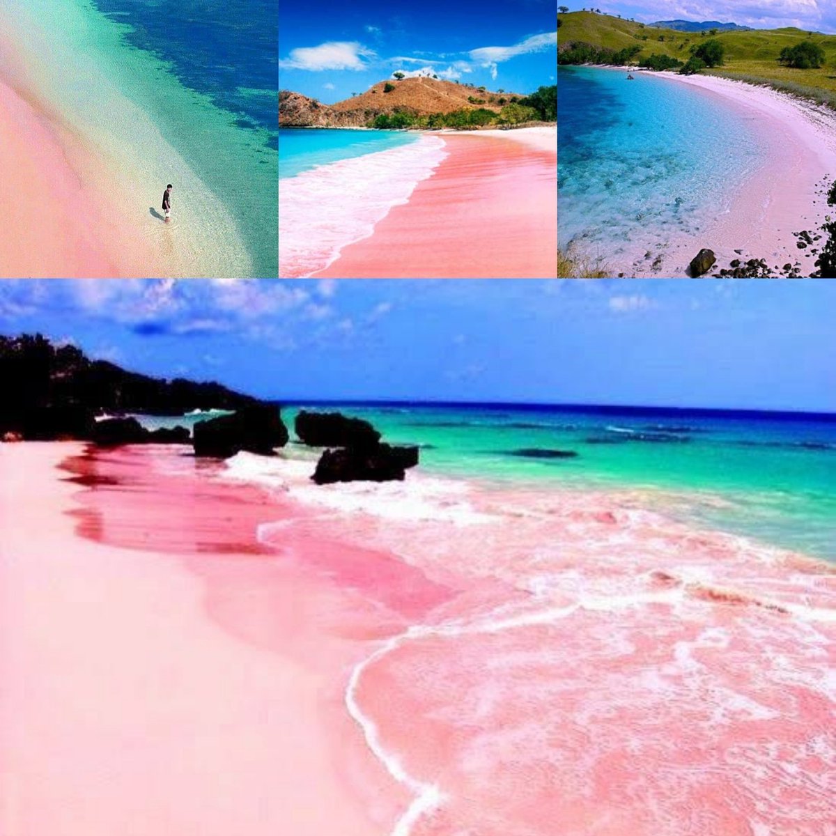 Yahala ياهلا للسياحة و الدراسة في ماليزيا A Twitter الشاطئ الوردي في جزيرة لومباك اندونيسيا اكتشف سحر اندونيسيا الخفي مع ياهلا معنا بتوصل تواصلو معنا أو زورو موقعنا للمزيد من التفاصيل العروض