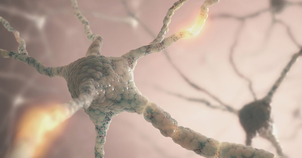 Twinybots's tweet image. How this Technology Mimics the Human Brain twi.li/Rdu9bW #DeepLearning #360EduKraft #DeeplearningCourse