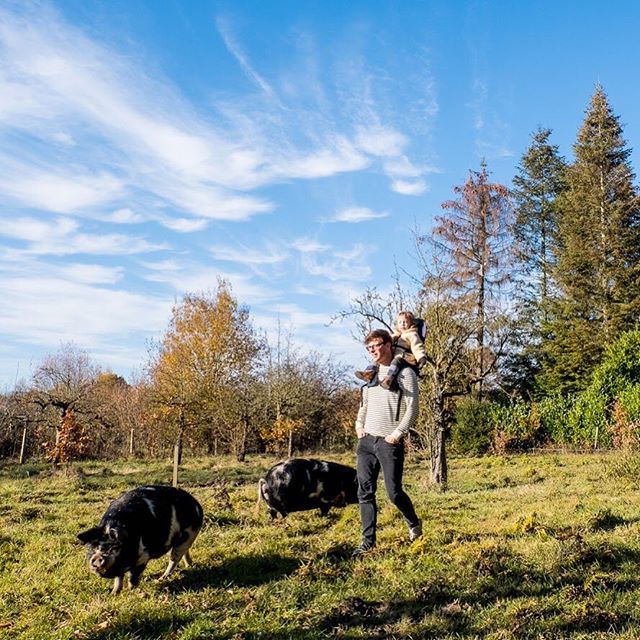 vaderklap's tweet photo. Casual even de varkens uitlaten. 🐷🐷 #herfst #fatherdaughter #kunekune #limburgunited #minimeis #shouldercarrier https://t.co/DmwM94ZN3H https://t.co/bVREh2kPxr