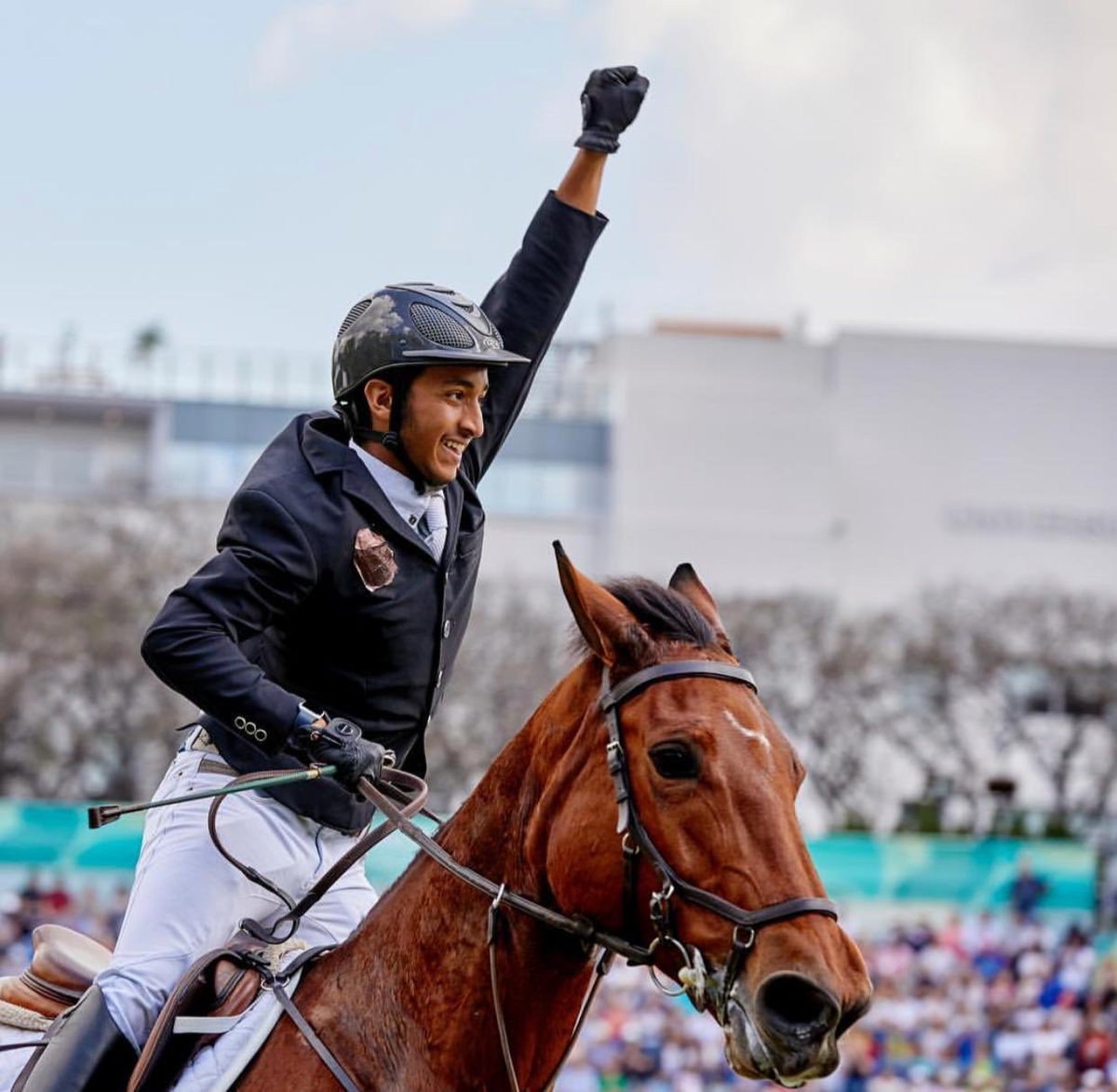 Al Shira'aa Stables tweet media