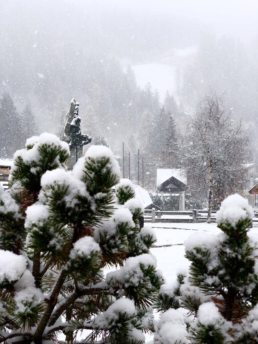 campiglioapt's tweet photo. Live from #madonnadicampiglio. ❄️❤️#topdolomites #snow #picoftheday https://t.co/mSJuGGFRWz