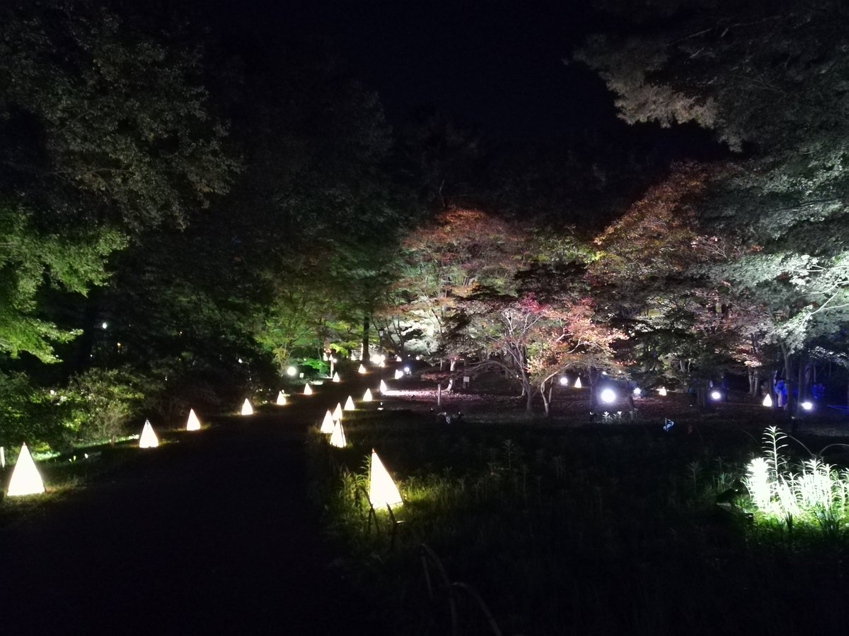 国営武蔵丘陵森林公園 草月インスタレーション ライトアップ中 森林公園 草月流インスタレーション 紅葉見ナイト