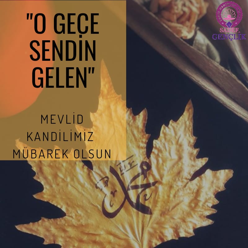 SadefHanımlarDerneği (@sadefder) on Twitter photo 