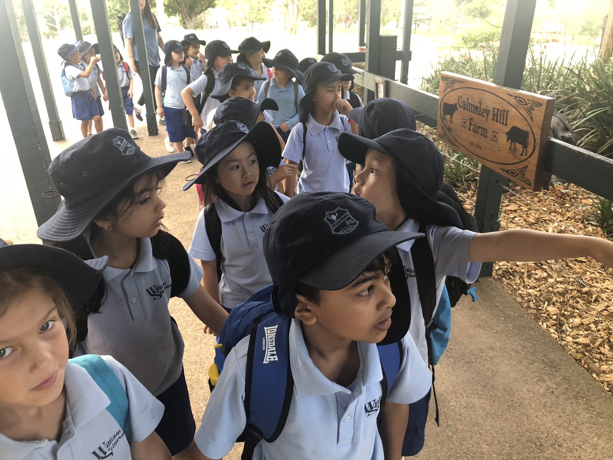MissHuynh2's tweet photo. At the farm, students were asked many questions like โwhat is a nocturnal animal?โ They surprised me with their bravery and knowledge
#farmexcursion @OurSchoolWSPS https://t.co/7o0P11YEOv