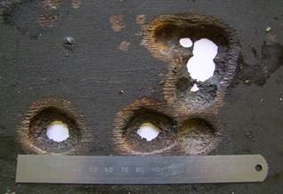 RTech_Materials's tweet photo. We are acutely aware of the importance of excellent customer service. Our failure investigations are usually concluded with 5-7 working days from the receipt of samples. Where required, a priority service can be offered. Our onsite services are available on a 24/7 basis globally. https://t.co/V5Ovny6IBq