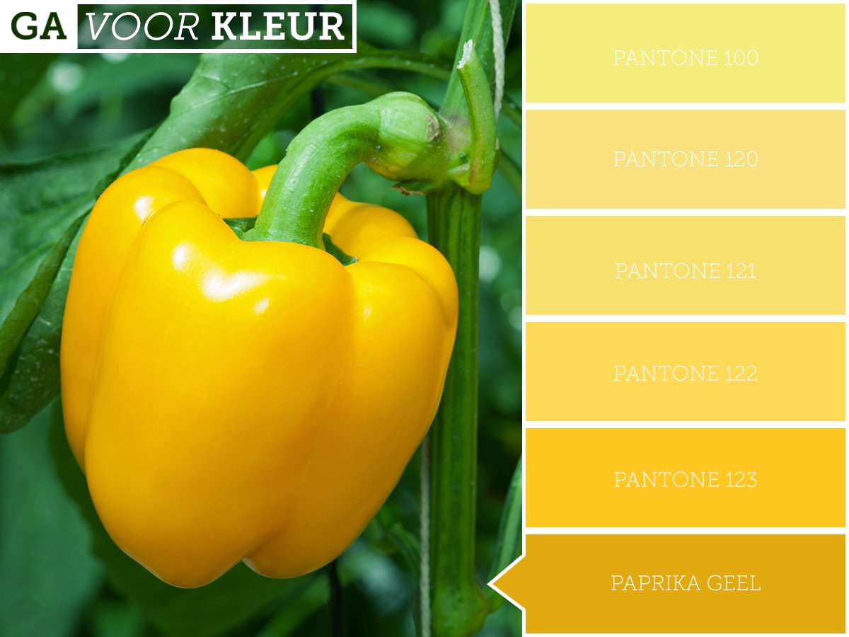 Veel gele groenten zijn er niet, maar dat betekent natuurlijk niet dat we ze mogen vergeten! Welke gele groenten eet jij vaak? #gavoorkleur