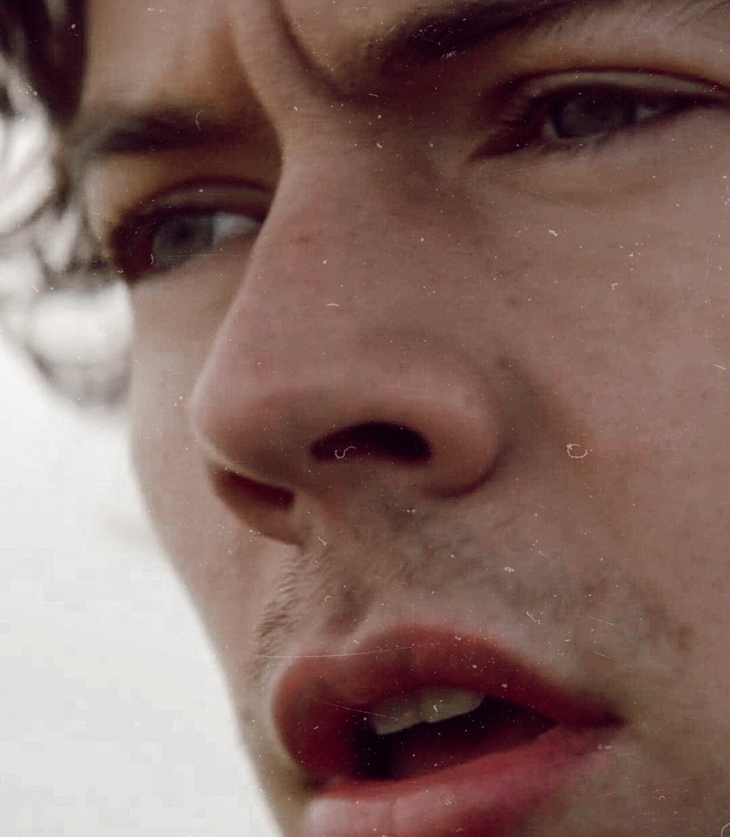best harry pics (@bestsofhs) on Twitter photo 
