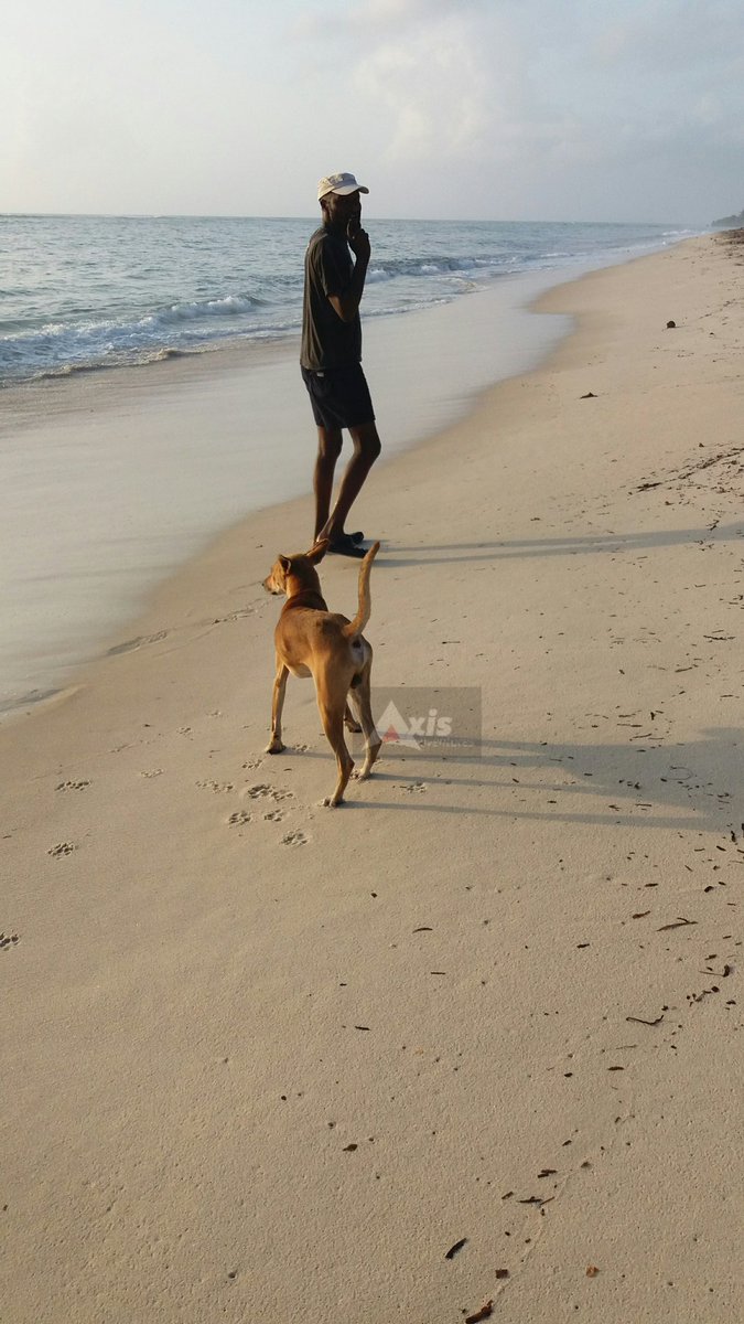 AxisAdventures's tweet photo. 'A Man, A Dog'
Morning walk........#TiwiBeach #kenya 
.
.
.
.
#MondayMotivation #KenyaCoastGuard 
#Axisadventures #Africa  #natgeoafrica #natgeoadventure #camping #campsite #campinglife #safaris  #Adventures #ecotourism #weekend  #landscape #outdoors #MagicalKenya #TembeAKenya https://t.co/rTn05jsj7b