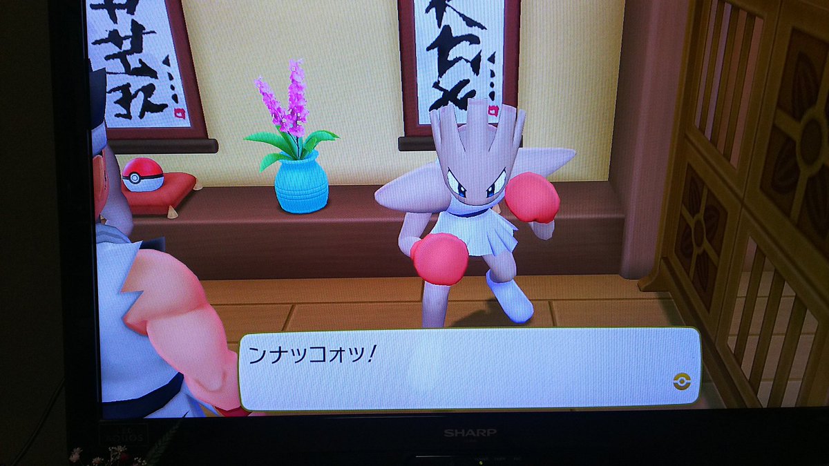 ヤマブキシティ Traola Twitterren