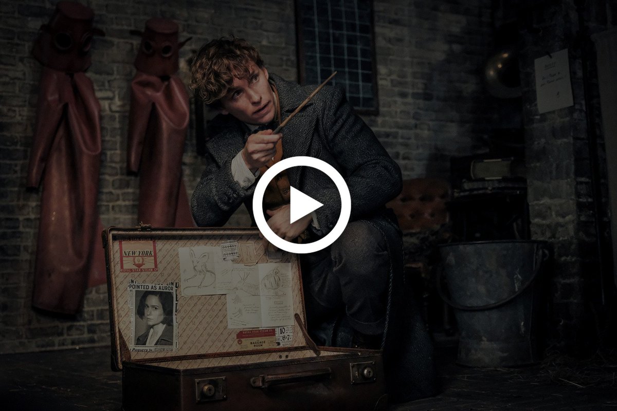 Watch The Curse Of Oak Island Full Episodes On Twitter Watch Fantastic Beasts The Crimes Of Grindelwald Full Movie Online Free Hd Here Https T Co G3sinksu0v Https T Co G3sinksu0v Fantasticbeasts2 Fantasticbeasts Https T Co Uyrciljllz