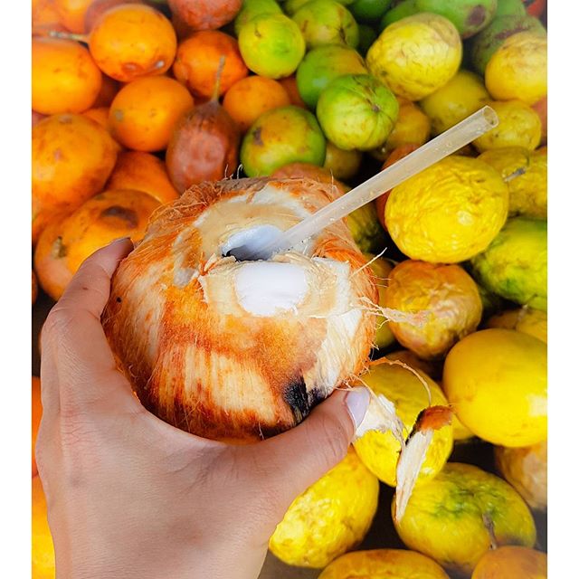 Coconut water straight from the source Costa Rica knows the fresher it is the better it is. #DYK that despite its name, coconuts are actually considered to be a fruit and not a nut? #puravidalife