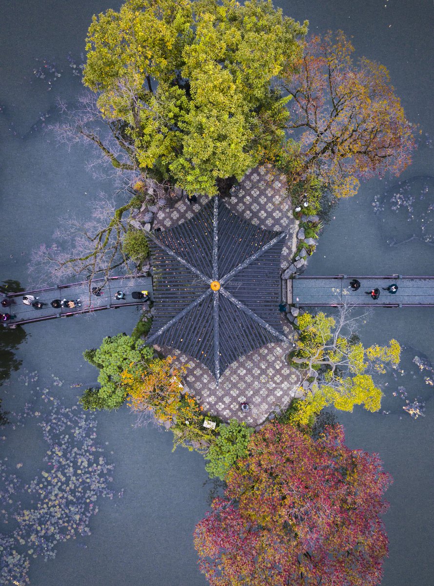 hi4steve's tweet image. 西湖上帝视角