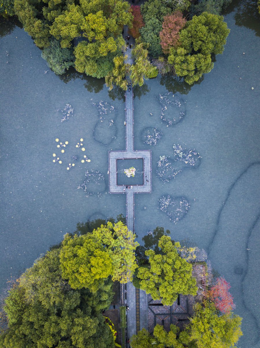 hi4steve's tweet image. 西湖上帝视角