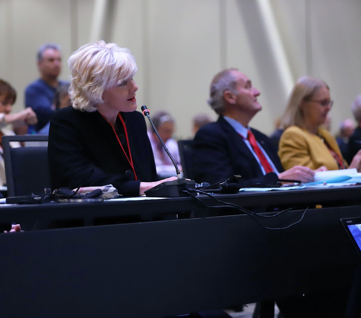 #CANA’s @cherylgallant during the question and answer session on Minister of National Defence, @HarjitSajjan’s address during the 64th Annual Session of the @natopapress in Halifax, Canada #NATOPAHalifax