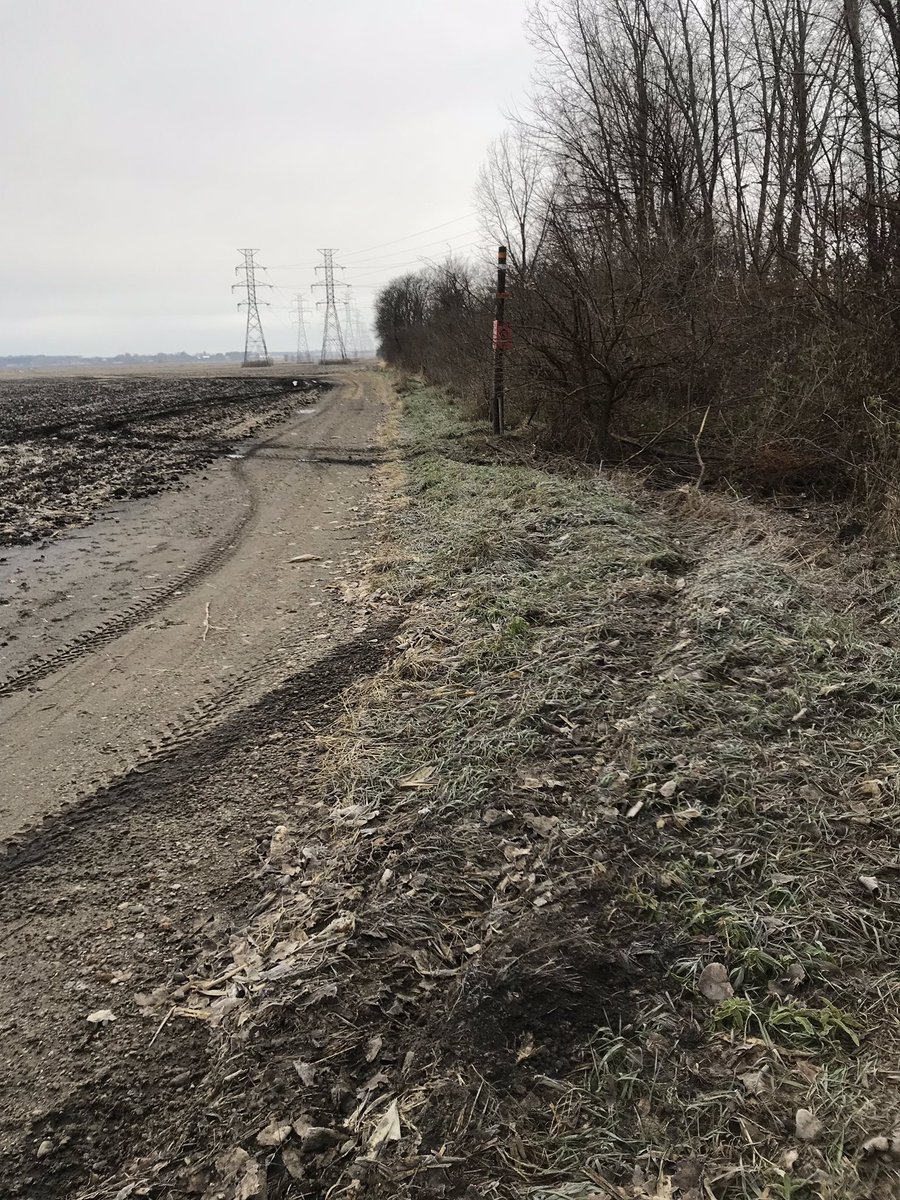 Eric Wappel tweet media