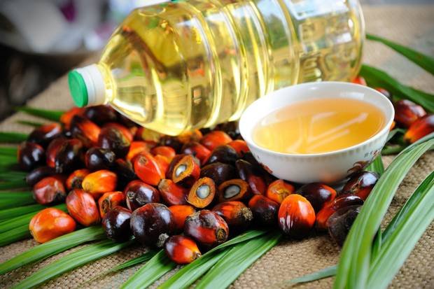 Everybody is talking about Palm Oil and the catastrophic effects it has on habitat and wildlife. Click this link below to see which everyday products contain palm oil and how you can help! #PalmOil 
worldwildlife.org/pages/which-ev…