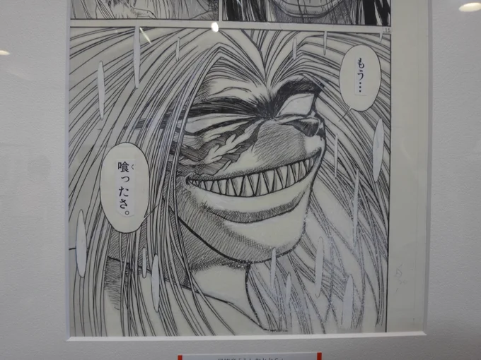 個人的に『三大完璧少年漫画』ってありまして、『うしとら』ってその一角なのですよ。（あと二つは『るろ剣』と『ダイ大』）なのでその名シーンの数々…おおぅ……てか原画のセレクト良すぎる………ちゃんとツボ抑えて…ガンガン来る………? 