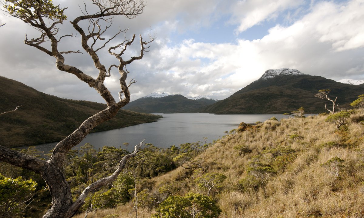 TerramChile's tweet photo. ¡Buenas noticias para el mundo ambiental! El Tribunal Ambiental de Valdivia resuelve SUSPENDER el uso de tronaduras en la Mina Invierno de Isla Riesco. Desde Fundación Terram, compartimos la alegría de @AlertaIslaRiesc y @FIMA_Chile 👉 https://t.co/kcKdCJn5YS https://t.co/Uk1UhkpEPU