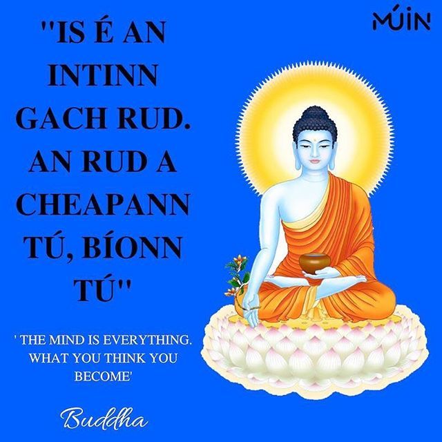 muinirish's tweet photo. Spreagadh an lae. Motivation of the day

FREE Online FaceTime Grind:
Sign Up: LINK IN BIO

@buddhaquotes @tinybuddhaofficial 
#muinirish #irishgrind #gaeilge #grinds #leavingcert #leavingcert2018 #irish #education #movie #school #religion #secondaryschoo… https://t.co/HXz9oXwQi0 https://t.co/oF34V0UyMG