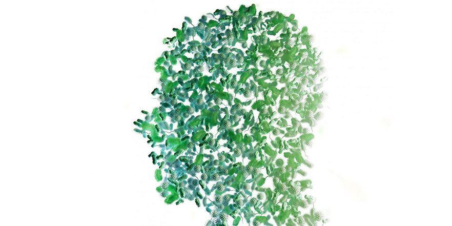 LeemFrance's tweet photo. Philippe Glaser, Directeur de recherche à @institutpasteur explique en quoi notre microbiote est complice de l’antibiorésistance.  => https://t.co/kkBndHox6n #santé #hcsmeufr https://t.co/ObKd9v4VzO