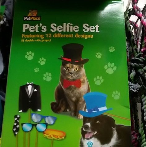 Christmas Advertising Advent: Day 1 - Presenting the pet selfie stick. (RIP Western Civilisation: 500BC-2016. Gone but not forgotten) #Christmas #Advertising #ChristmasAdvert