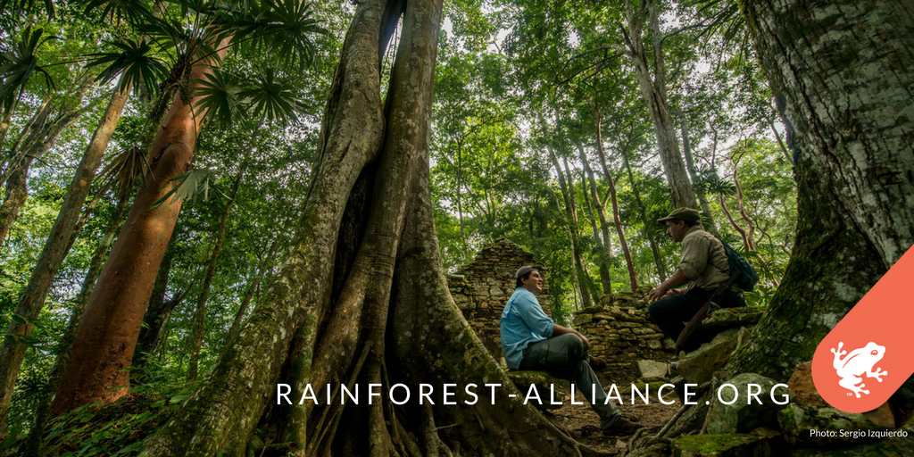 RnfrstAlliance's tweet photo. Before #deforestation &amp; illegal mining, indigenous people lived in harmony with #nature. That's why scaling up rural, #sustainable livelihoods could help these communities resist outside pressures to clear #forests &amp; degrade the land. https://t.co/qzFxoEOA6a https://t.co/wcA1zmHvcs