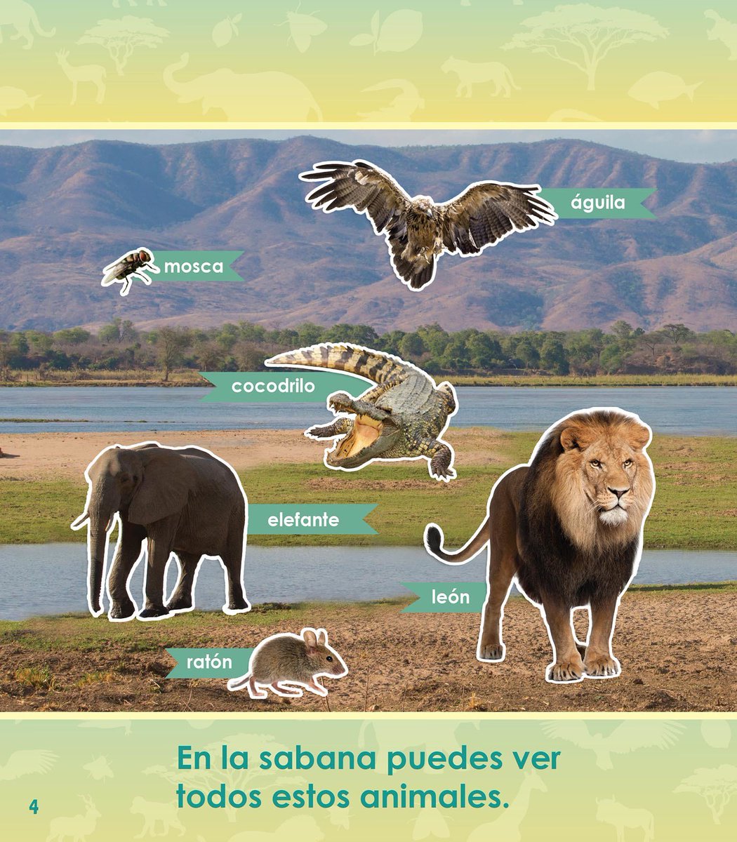 The popular Who Eats What? series now includes In the Savanna in Spanish! Practice Power Words as you learn about the ecosystem and food web of these grassy plains. #ARCPress
americanreadingathome.com/bookstore/book…