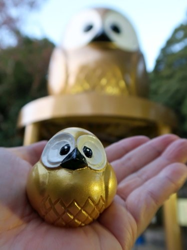 鷲子山上神社の「金運梟守」。鷲子山上神社のシンボルの大フクロウさん