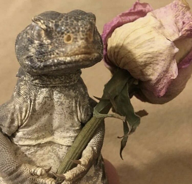 تدل دربها😜😝