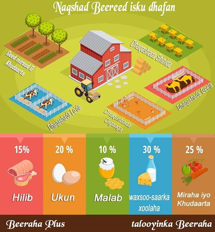 BeerahaPlus's tweet image. naqshad beereed isku dhafan.

hadaad tahay beerwale dhul weyn leh, dhulkaaga sidaan ayaad uga faa'iidaysan kartaa oo aad intaan wax beerato hadana waxaad ku dhaqan kartaa xoolaha, digaaga iyo shinidaba.

faa'iidooyinka qaabkan facebook pagekeena ka akhriso