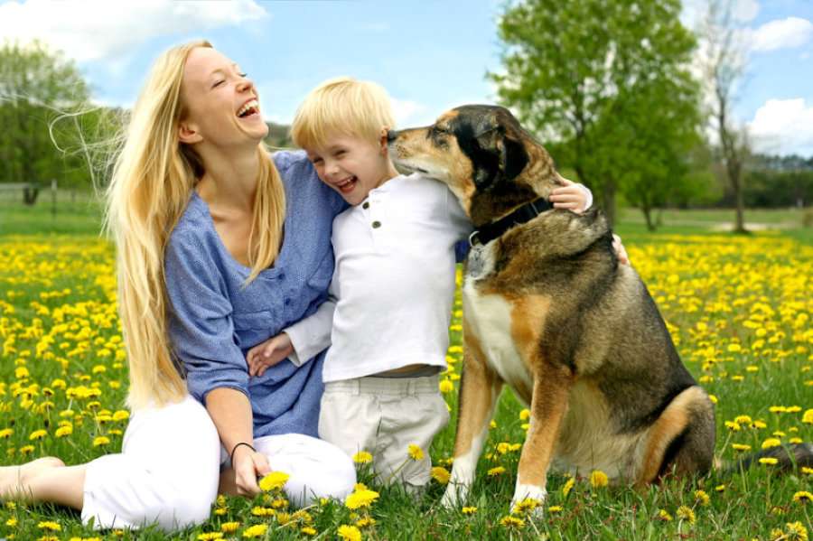 Want to know Vital Fact about Dog Parenting
Click here: bit.ly/2A5QlAd

Contact us at 8370000847
#buypets
#buypetsonline
#adoptpets
#adoptpetsonline
#adoptdogs
#adoptpetsinindia
#petslove
#petsadoptation
#petsforsale
#dogsforsale
#sellpetsonline
#sellpetsonlineinindia