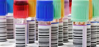 BOOK COMPOSITION IN THE DIGITAL WORLD : CONVERSATIONS WITH 21ST CENTURY AMERICAN