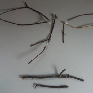 Je gelooft je eigen ogen niet...bit.ly/2Q9jyUG <a href="/Iedereenuitoss/">Iedereen uit Oss</a> <a href="/dtvoss/">Dtv Nieuws - Oss & Bernheze</a> <a href="/DatisOss/">Dat is Oss</a>