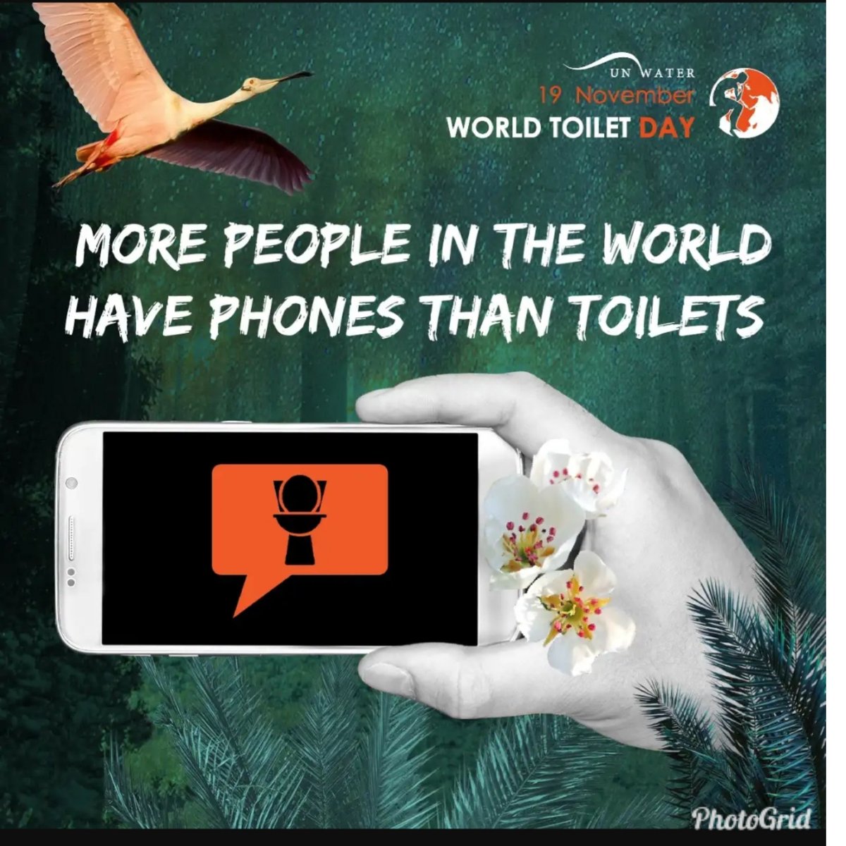 Mackenah's tweet photo. Lucky is you who is reading this post from the comfort of your toilet #WorldToiletDay @WASHallianceKe https://t.co/JqsGS9Ztp2