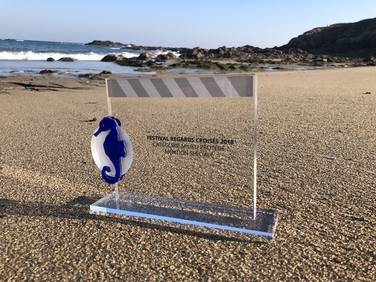 Mention Spéciale du Jury, c'est la nouvelle récompense décrochée par les travailleurs en ESAT et leur encadrant Eric Simon lors du festival Regards Croisés.