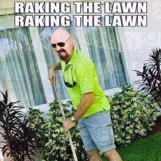 WriterKofot's tweet image. Well.. @realDonaldTrump  make america rake again? #Trump