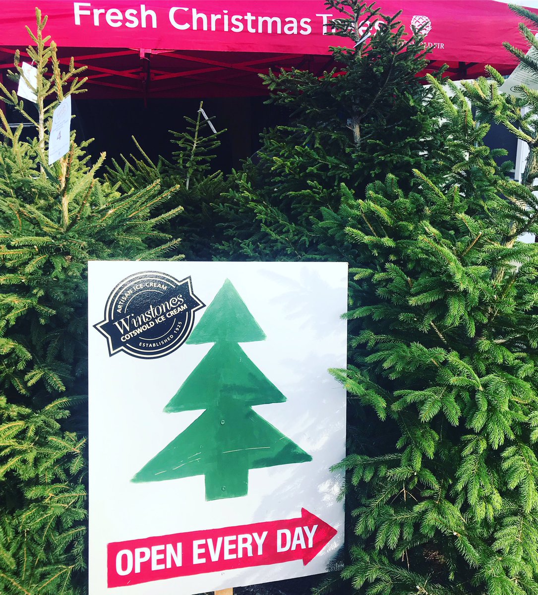 Worried about the environment? So are we, this year you can ‘Rent a Tree’ #stroud #Gloucestershire #ChristmasTree #rentatree